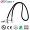Power Switch Control 6Pin 1.25mm To 2.0mm Car Wire Harness