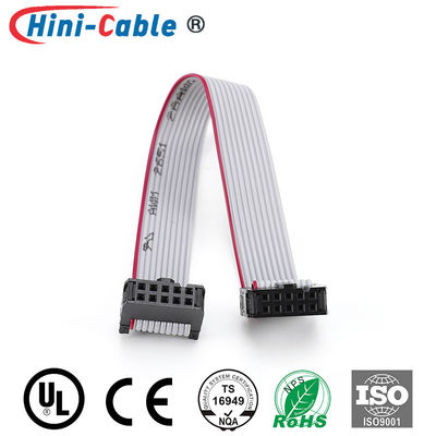 Electronic Device Red Side 2.54mm 2x5Pin Flat Ribbon Cable