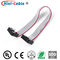 Electronic Device Red Side 2.54mm 2x5Pin Flat Ribbon Cable