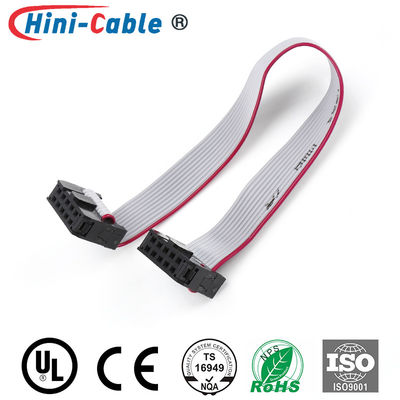 Electronic Device Red Side 2.54mm 2x5Pin Flat Ribbon Cable