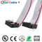 Electronic Device Red Side 2.54mm 2x5Pin Flat Ribbon Cable