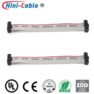 Gray IDC Male To Male 2x5Pin 2.54 mm Pitch Ribbon Cable