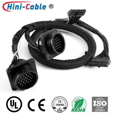 TE 24Pin Male To MOLEX 24Pin 4.2mm Power Wire Harness